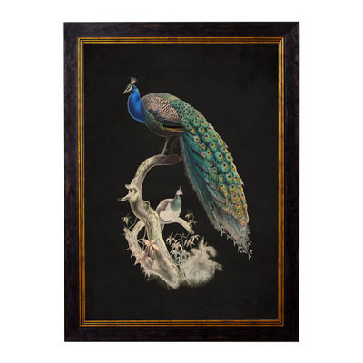 #70 x 95cm