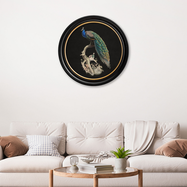 Peacocks Framed Wall Art - Set of 2 x 44cm