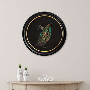 Peacocks Framed Wall Art - Set of 2 x 44cm