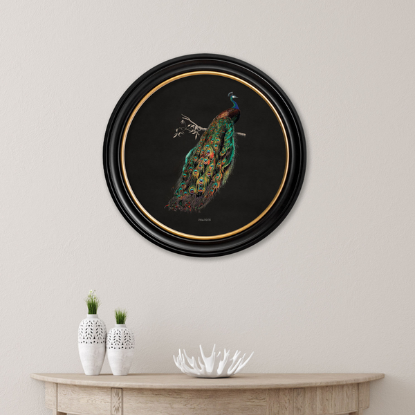 Peacocks Framed Wall Art - Set of 2 x 44cm