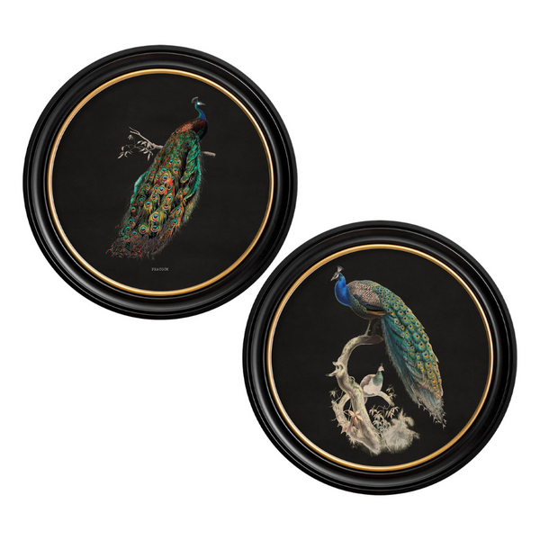 Peacocks Framed Wall Art - Set of 2 x 70cm