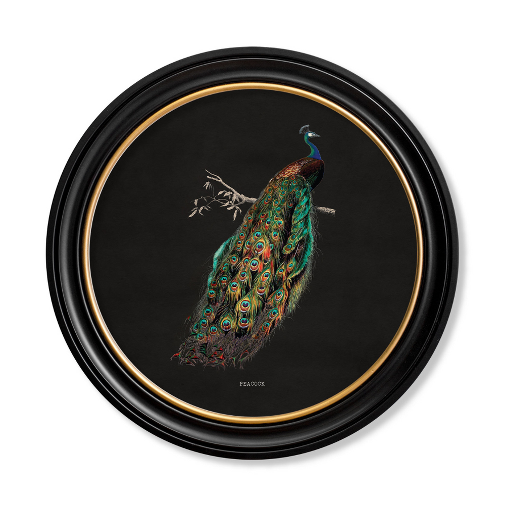 #96 x 96cm