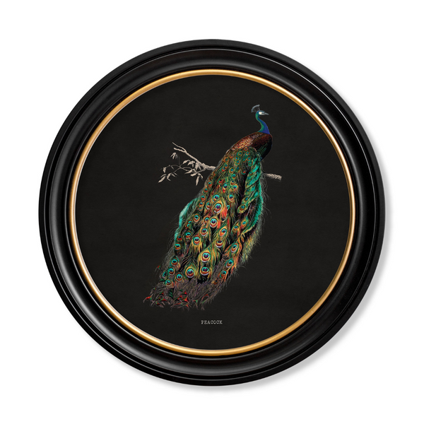 Peacocks Framed Wall Art - Set of 2 x 96cm