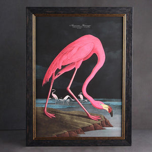 Pink Flamingo Framed Wall Art x 70cm