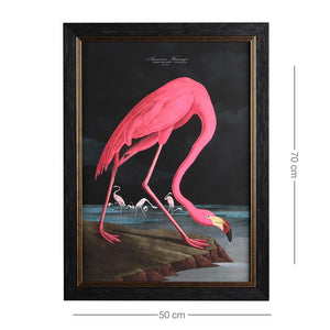 Pink Flamingo Framed Wall Art x 70cm
