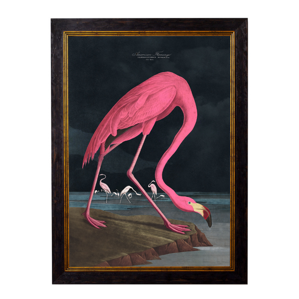 Pink Flamingo Framed Wall Art x 70cm