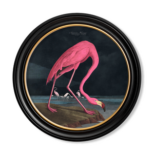 Pink Flamingo Framed Wall Art x 44cm
