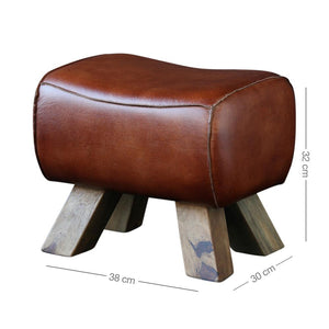 Pommel Horse Low Stool