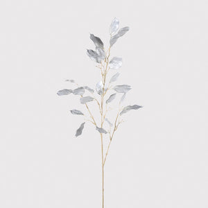 Silver Dollars Spray - Stem