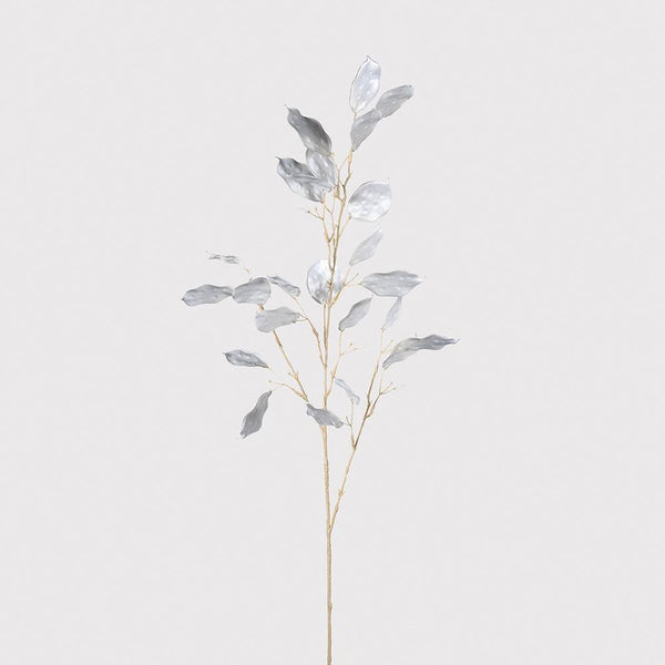 Silver Dollars Spray - Stem