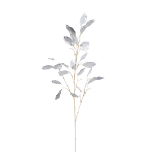 Silver Dollars Spray - Stem