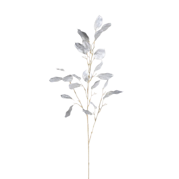 Silver Dollars Spray - Stem