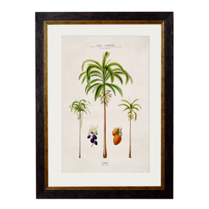 Studies of Palm Trees Framed Wall Art - Set of 4 x 50cm