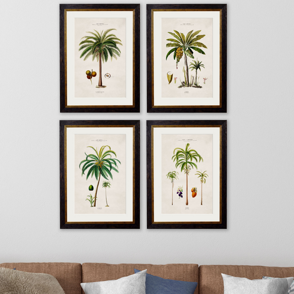Studies of Palm Trees Framed Wall Art - Set of 4 x 50cm