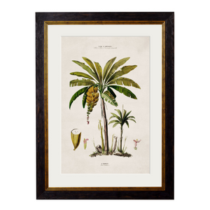 Studies of Palm Trees Framed Wall Art - Set of 4 x 70cm