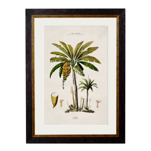 Studies of Palm Trees Framed Wall Art - Set of 4 x 95cm