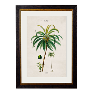 Studies of Palm Trees Framed Wall Art - Set of 4 x 95cm