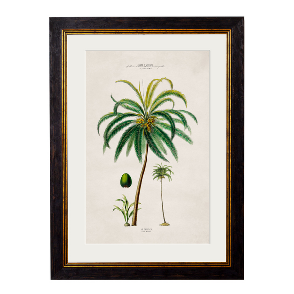 Studies of Palm Trees Framed Wall Art - Set of 4 x 95cm