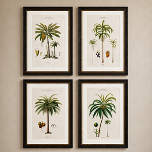 Studies of Palm Trees Framed Wall Art - Set of 4