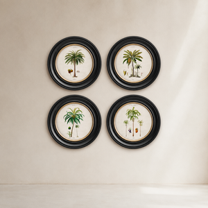 Studies of Palm Trees Framed Wall Art - Round - Set of 4 x 44cm