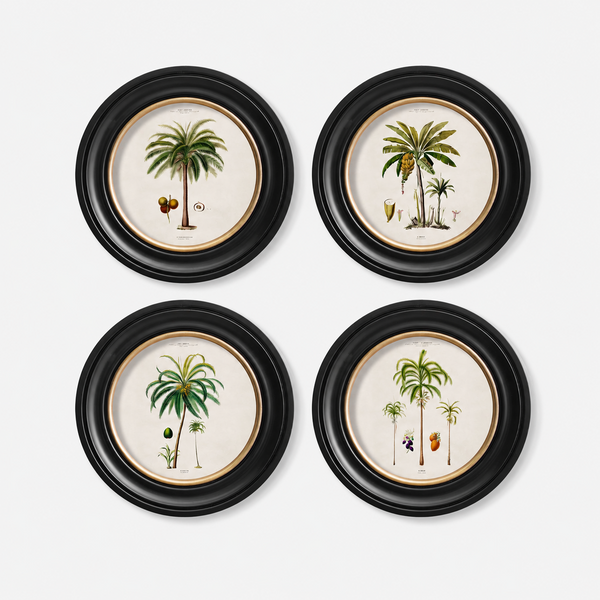 Studies of Palm Trees Framed Wall Art - Round - Set of 4 x 44cm
