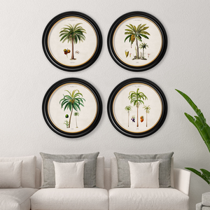 Studies of Palm Trees Framed Wall Art - Round - Set of 4 x 70cm