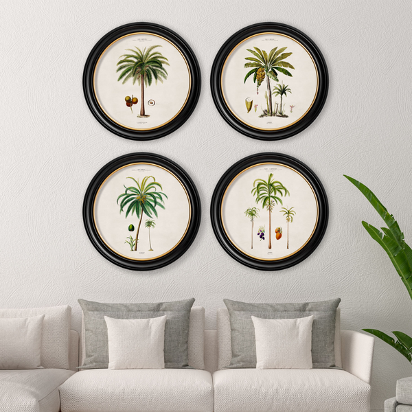 Studies of Palm Trees Framed Wall Art - Round - Set of 4 x 70cm
