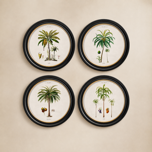 Studies of Palm Trees Framed Wall Art - Round - Set of 4 x 70cm