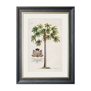 Studies of Palms Framed Wall Art - Grey - Set of 4 x 50cm