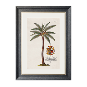 Studies of Palms Framed Wall Art - Grey - Set of 4 x 70cm