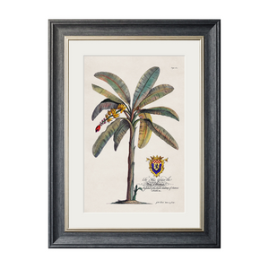Studies of Palms Framed Wall Art - Grey - Set of 4 x 70cm