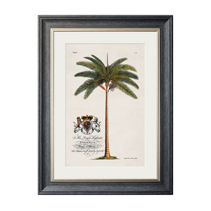 Studies of Palms Framed Wall Art - Grey - Set of 4 x 70cm
