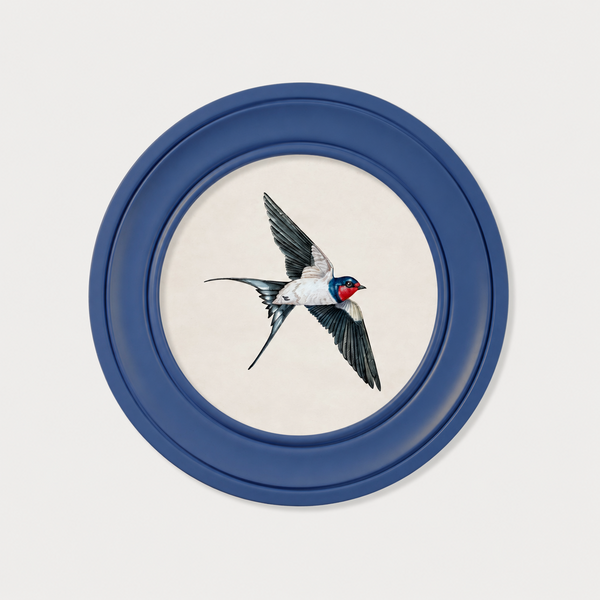 Swallows Framed Wall Art - Blue - Set of 2 x 44cm