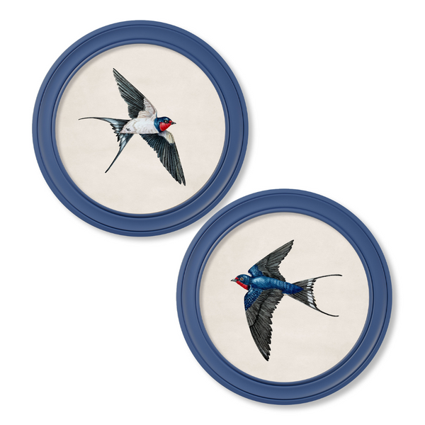 Swallows Framed Wall Art - Blue - Set of 2 x 70cm