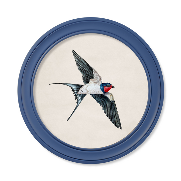 Swallows Framed Wall Art - Blue - Set of 2 x 70cm