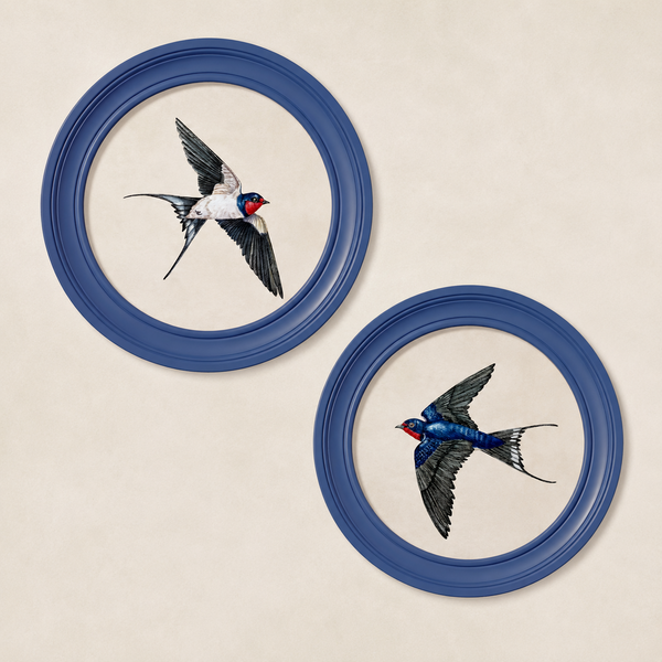 Swallows Framed Wall Art - Blue - Set of 2