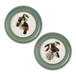 Toucans Framed Wall Art - Green - Set of 2 x 70cm