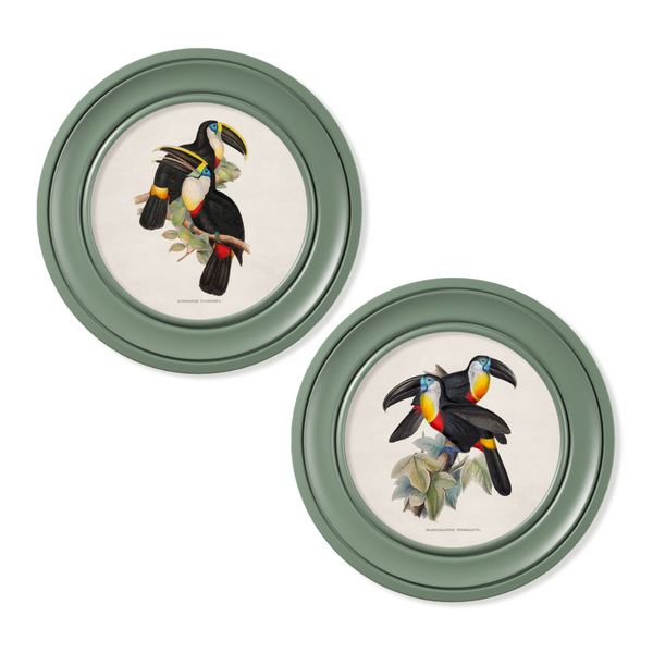 Toucans Framed Wall Art - Green - Set of 2 x 70cm