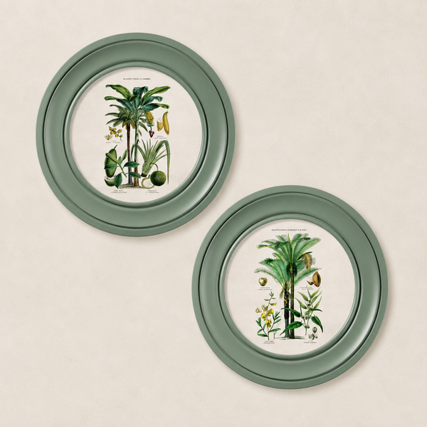Tropical Plants Framed Wall Art - Green - Set of 2 x 44cm
