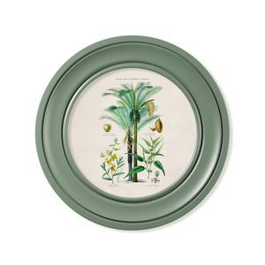 Tropical Plants Framed Wall Art - Green - Set of 2 x 44cm