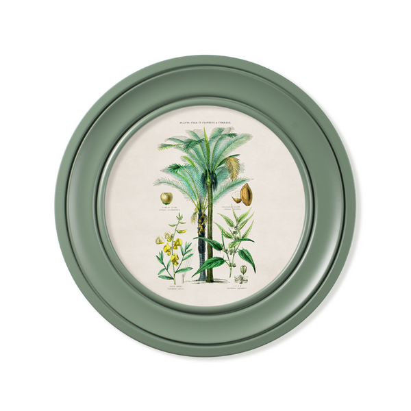 Tropical Plants Framed Wall Art - Green - Set of 2 x 44cm
