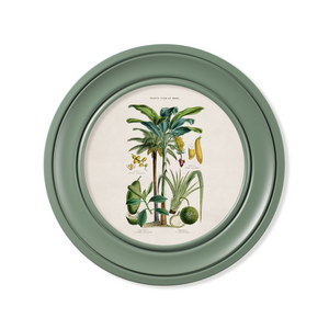 Tropical Plants Framed Wall Art - Green - Set of 2 x 44cm
