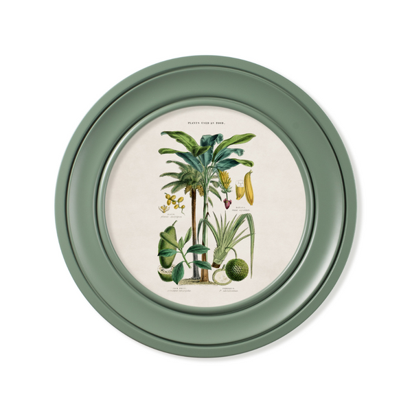 Tropical Plants Framed Wall Art - Green - Set of 2 x 44cm