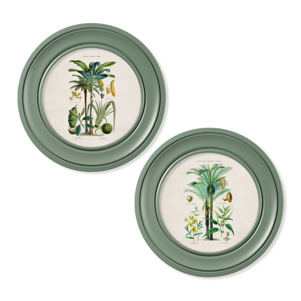 Tropical Plants Framed Wall Art - Green - Set of 2 x 44cm