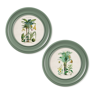 Tropical Plants Framed Wall Art - Green - Set of 2 x 44cm