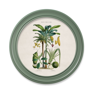 Tropical Plants Framed Wall Art - Green - Set of 2 x 70cm