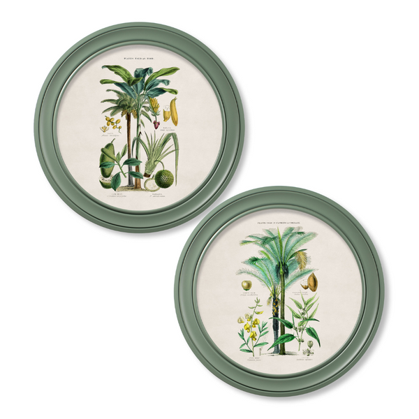 Tropical Plants Framed Wall Art - Green - Set of 2 x 70cm
