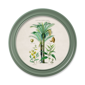 Tropical Plants Framed Wall Art - Green - Set of 2 x 70cm
