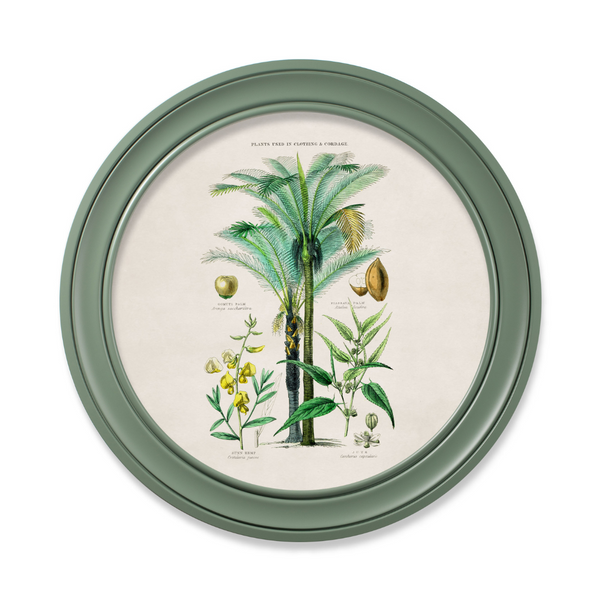 Tropical Plants Framed Wall Art - Green - Set of 2 x 70cm