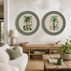 Tropical Plants Framed Wall Art - Green - Set of 2 x 70cm